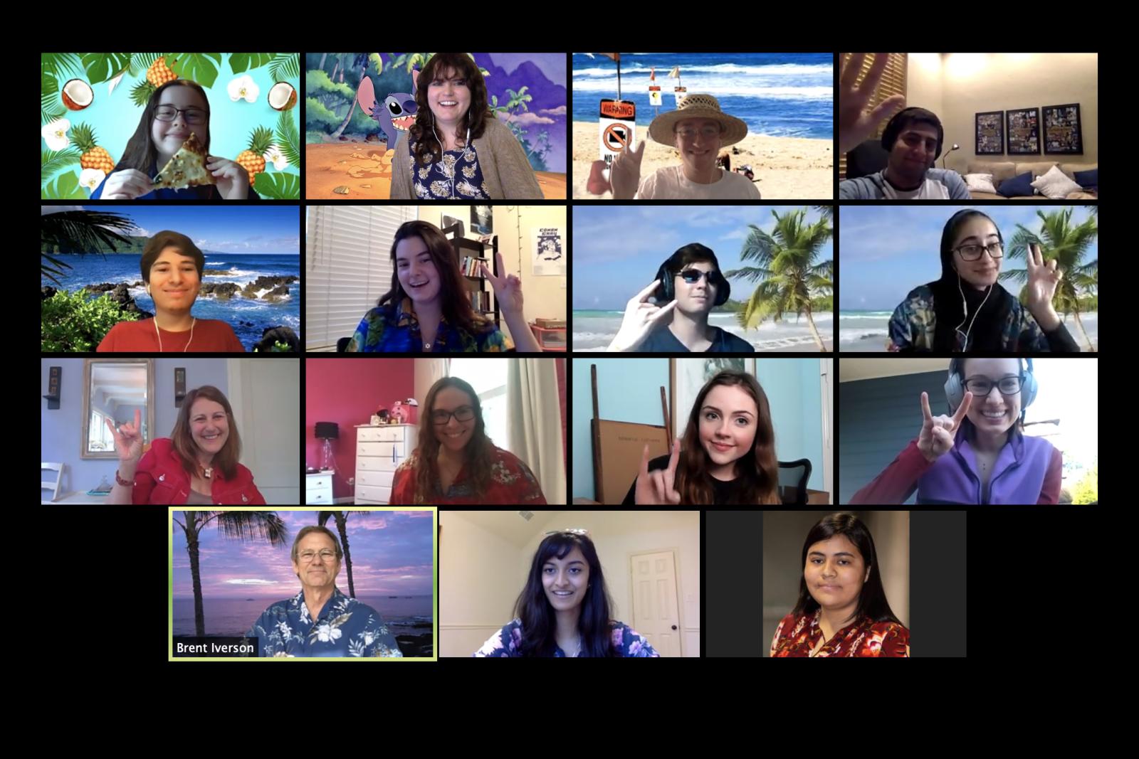 UGS Council Zoom Screenshot