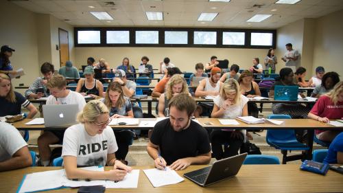 Dr. Kristin Harvey assists students in her course